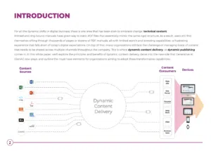 WP Dynamic Delivery Intro Image